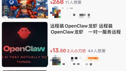 赛事分析-OpenClaw火了，最先赚钱的是上门安装，500元一次