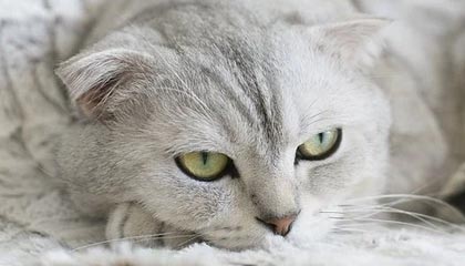 开云体育官网-宁波啦啦队分享赛场舞蹈：目前战绩12胜11负，暂列第九